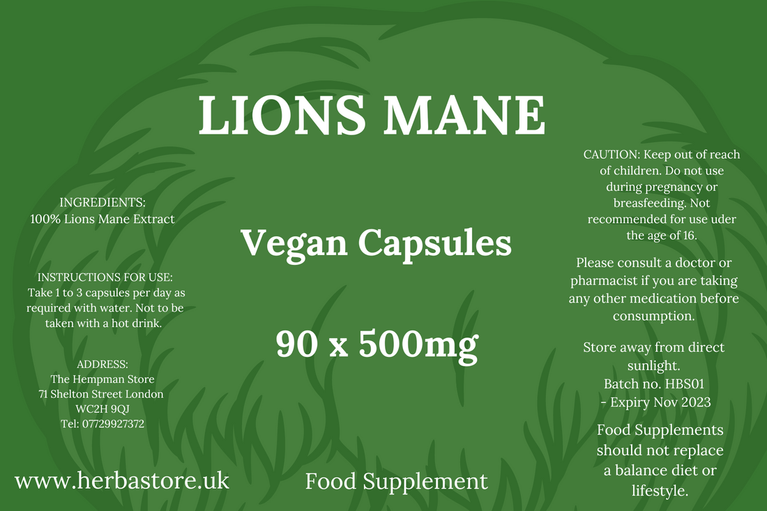 Lions Mane Mushroom and it's incredible properties