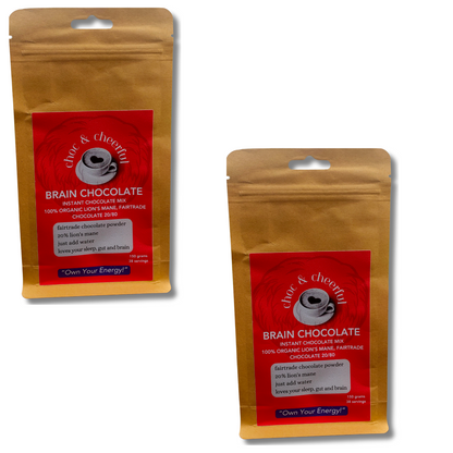 Brain Chocolate | Mushroom Hot Chocolate | Lion's Mane Brain Focus