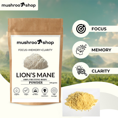 Lion's Mane Organic Powder