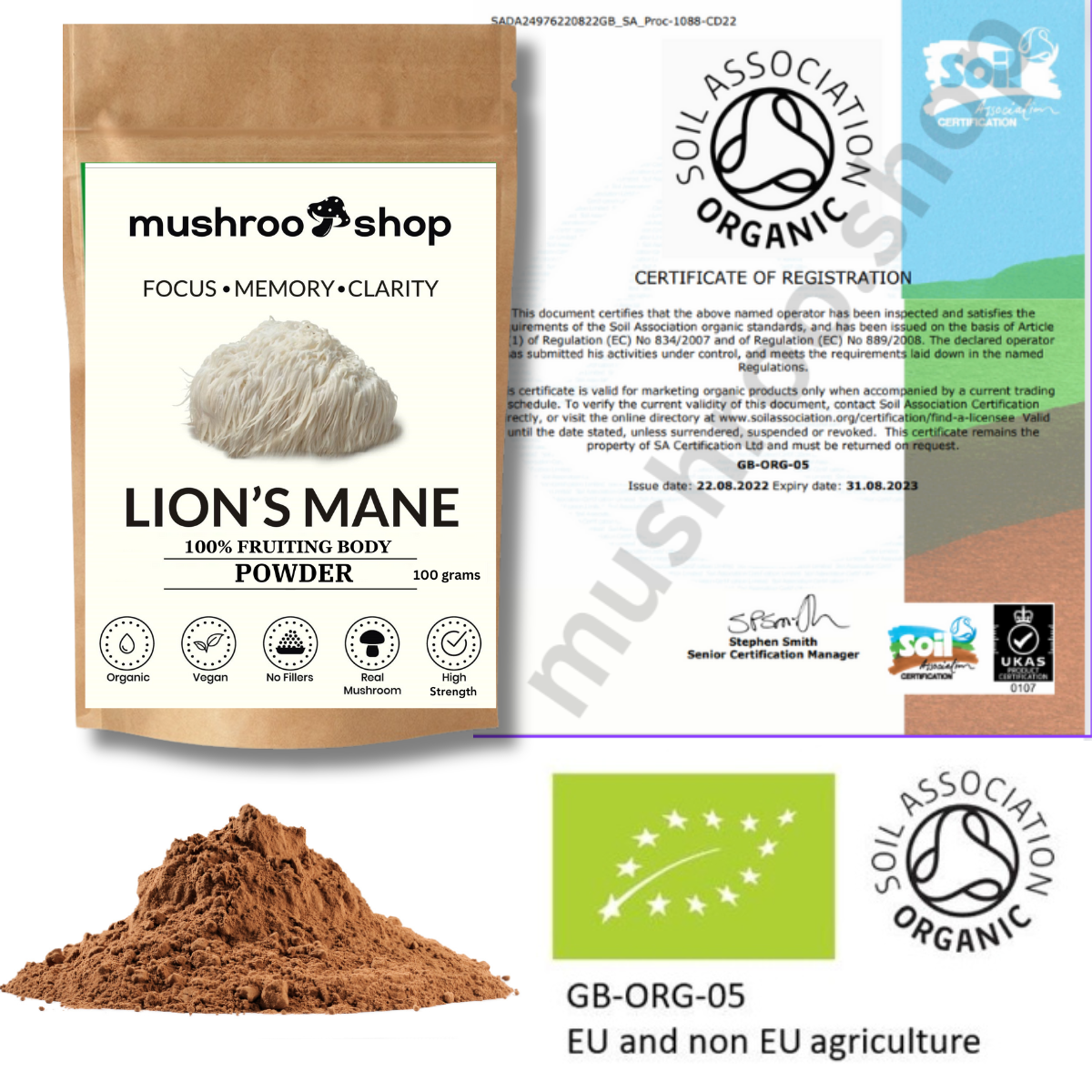 Lion's Mane Powder | Brain Focus 100% Pure
