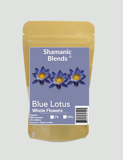blue lotus egyptian whole flowers uk