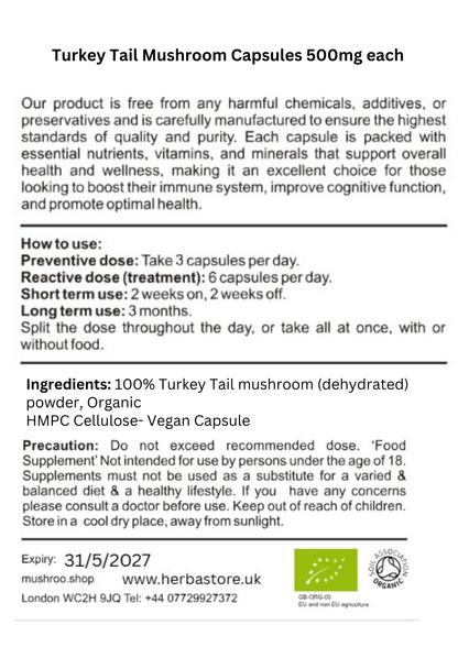 Turkey Tail Mushroom | Immunity Support